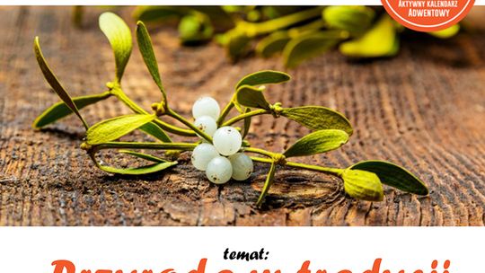 Przedświąteczne Spotkanie z Przyrodą !