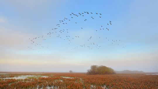 PRZYJDŹ NA SPOTKANIE I ROZWIŃ SKRZYDŁA WE WŁASNYM BIZNESIE PRZYJDŹ NA SPOTKANIE I ROZWIŃ SKRZYDŁA WE WŁASNYM BIZNESIE