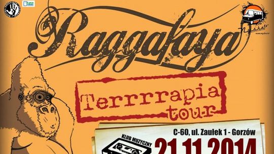 Raggafaya zagra w C-60