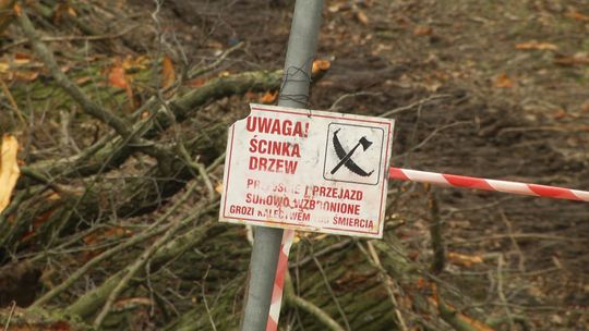 Ruszyły prace związane z rozbudową starych oraz budową nowych wałów w Słubicach 