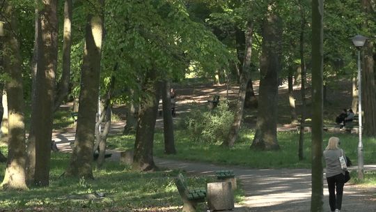 Sonda uliczna – Plany mieszkańców Zielonej Góry na majówkę