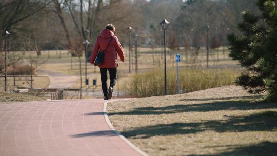 Sonda wiosenna w Świebodzinie - czy mieszkańcom brakowało wiosny?