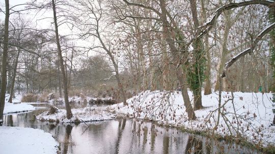 Sonda zimowa w Międzyrzeczu Sonda zimowa w Międzyrzeczu