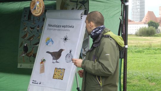 Spotkaj się z przyrodą dzięki Fundacji Dziupla Inicjatyw Przyrodniczych Spotkaj się z przyrodą dzięki Fundacji Dziupla Inicjatyw Przyrodniczych