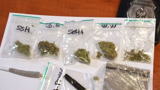 SUBSTANCJE NARKOTYCZNE W AUTOBUSIE