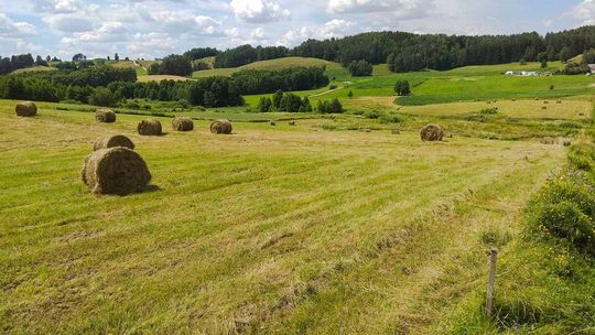 Suwałki i Augustów na Suwalszczyźnie Suwałki i Augustów na Suwalszczyźnie