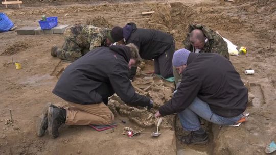 Szczątki kilkunastu żołnierzy pod Kunowicami, archeolodzy badają sprawę! 