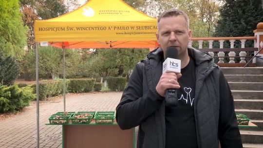 Szósta edycja akcji Pola Nadziei za nami! Szósta edycja akcji Pola Nadziei za nami!