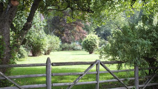 Sztachety plastikowe – jakie mają zalety?