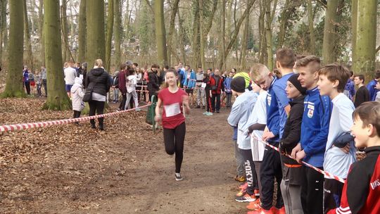 Sztafetowe Biegi Przełajowe Sztafetowe Biegi Przełajowe