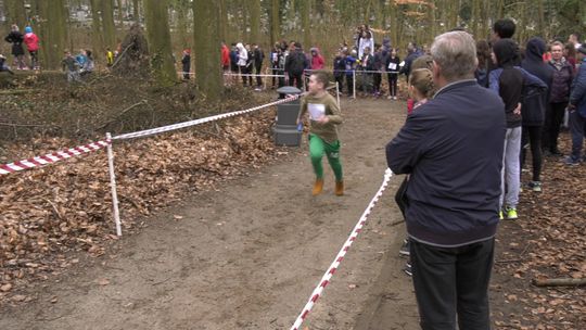 Sztafetowe Biegi Przełajowe 2019 za nami! Sztafetowe Biegi Przełajowe 2019 za nami!