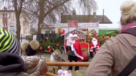 Takich mikołajek jeszcze nie było! Do Słubic przyjechały żywe renifery 