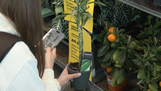 Targi roślin w Zielonej Górze