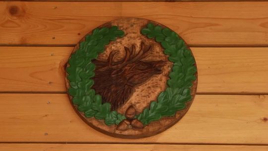 Technikum Leśne w Starościnie również z ''Brązową Szkołą 2019'' Technikum Leśne w Starościnie również z ''Brązową Szkołą 2019''