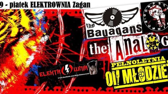 The Analogs + Dumpster Mummies + The Bauagans w Elektrowni 