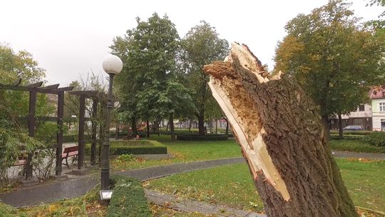 Tragiczne skutki orkanu Ksawery , w Ośnie Lubuskim ofiara śmiertelna !