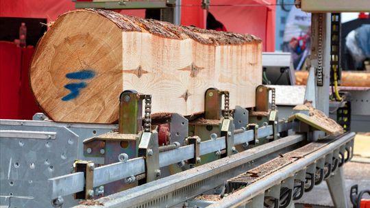 Trak pionowy do drewna - kiedy warto w niego zainwestować?