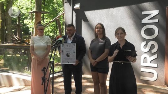 Ursonka Amerykańska otrzymała imię - konferencja prasowa w Mini Zoo