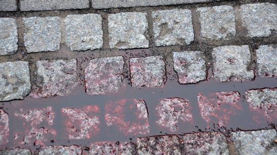 USIŁOWANIE ZABÓJSTWA W OŚNIE LUBUSKIM !