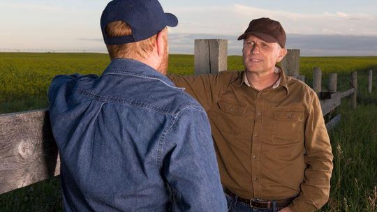 Usługi siewu i uprawy roli – zalety korzystania z usług profesjonalnych firm Usługi siewu i uprawy roli – zalety korzystania z usług profesjonalnych firm