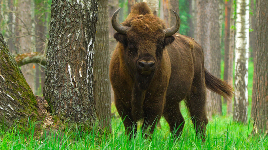 Wakacje 2025. Większość z nas wybrała Polskę. Zmienna pogoda nie była przeszkodą
