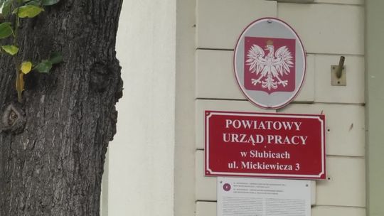 Ważne nagrody i wyróżnienia dla Powiatowego Urzędu Pracy
