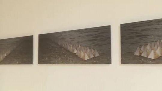 WERNISAŻ WYSTAWY MONIQUE FRANÇOIS