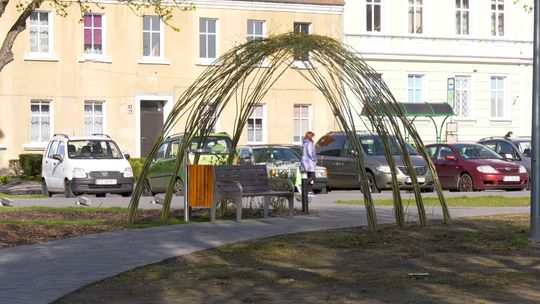 Wierzbowe żywe altany przy placu Bohaterów i przedszkolu Krasnal Hałabała