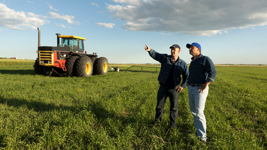 Wieś chce polexitu? To opowieści polityków, a nie rolników Wieś chce polexitu? To opowieści polityków, a nie rolników
