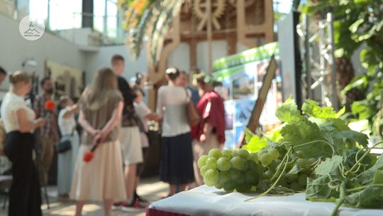 Winobranie 2025 - konferencja prasowa