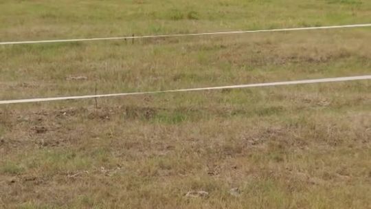 WPŁYW SUSZY NA DALSZE ŻYCIE MIESZKAŃCÓW WPŁYW SUSZY NA DALSZE ŻYCIE MIESZKAŃCÓW