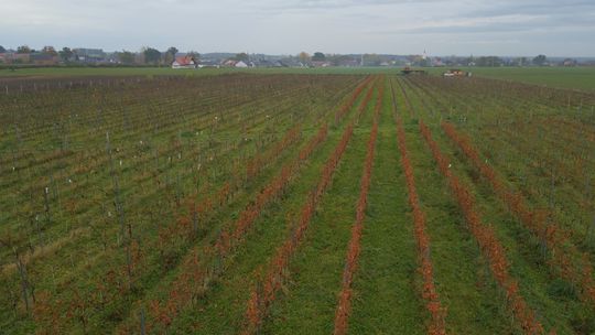 Zabytkowe Perły Województwa Lubuskiego odc. 10 (Muzeum Obozów Jenieckich w Żaganiu | Winnica Sagan)