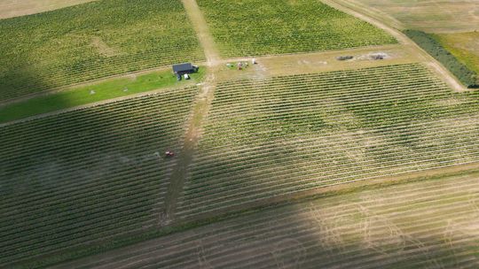 Zabytkowe Perły Województwa Lubuskiego odc. 8 (Winnica Aris) Zabytkowe Perły Województwa Lubuskiego odc. 8 (Winnica Aris)