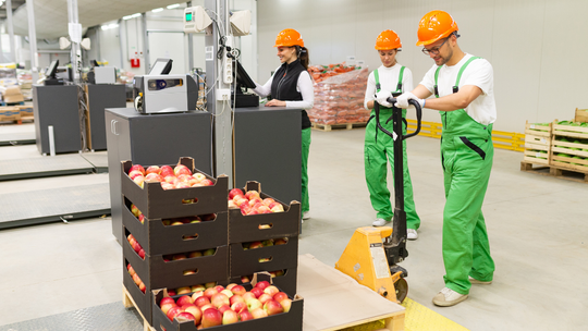 Zarabiamy mniej niż Zachód, chociaż gospodarka nam kwitnie