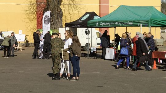 ZDROWO, SPORTOWO, BEZPIECZNIE! 1 DZIEŃ WIOSNY W RZEPINIE
