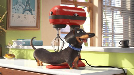 ZGARNIJ BILETY DO KINA (SEKRETNE ŻYCIE ZWIERZAKÓW DOMOWYCH)