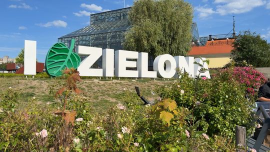 Zieleń miasta na kartce papieru. Plenerowe warsztaty akwareli
