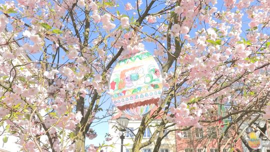 Życzenia Wielkanocne 2026 - Marszałek Województwa Lubuskiego Sebastian Ciemnoczołowski