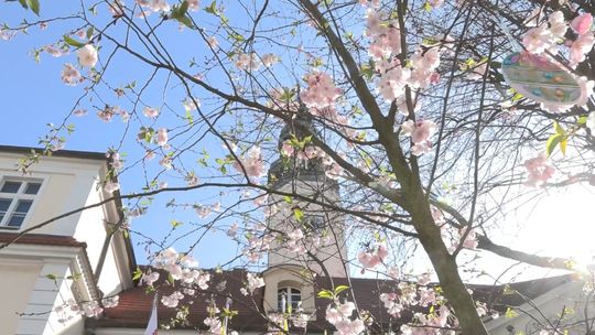 Życzenia Wielkanocne 2026 - Prezydent Miasta Zielona Góra Marcin Pabierowski