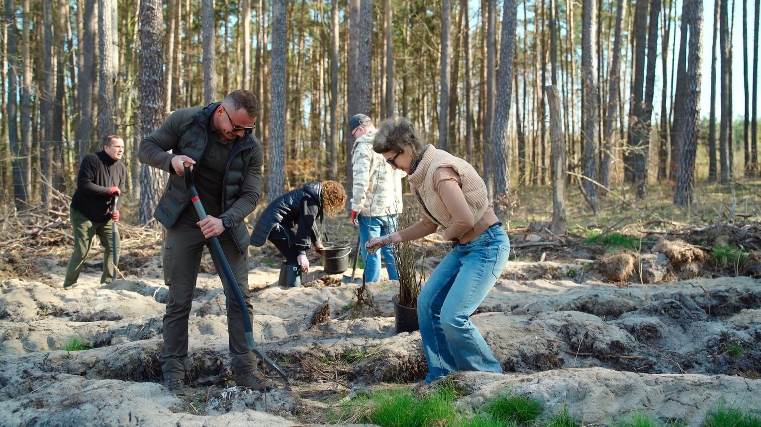 Akcja sadzenia lasu w powiecie międzyrzeckim