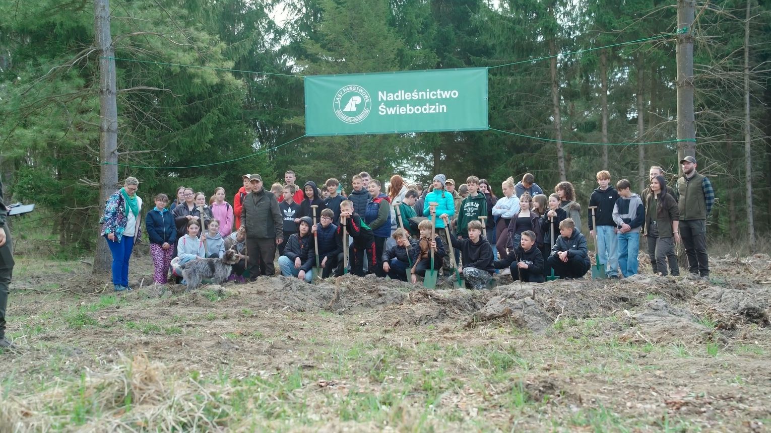 Akcja sadzenia lasu z Nadleśnictwem Świebodzin w leśnictwie Bucze