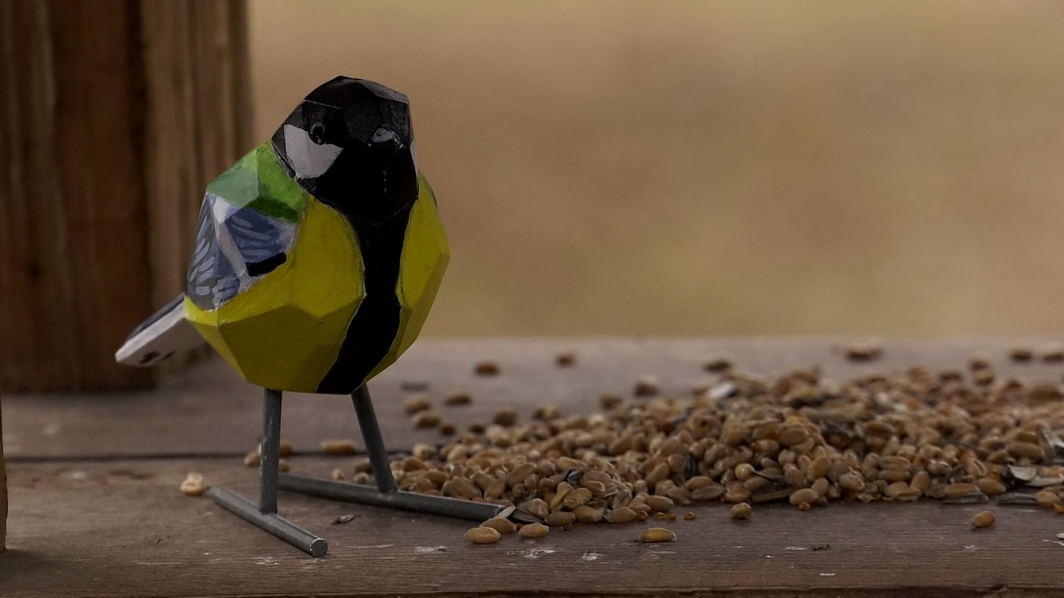 Czy zimą powinniśmy dokarmiać ptaki?