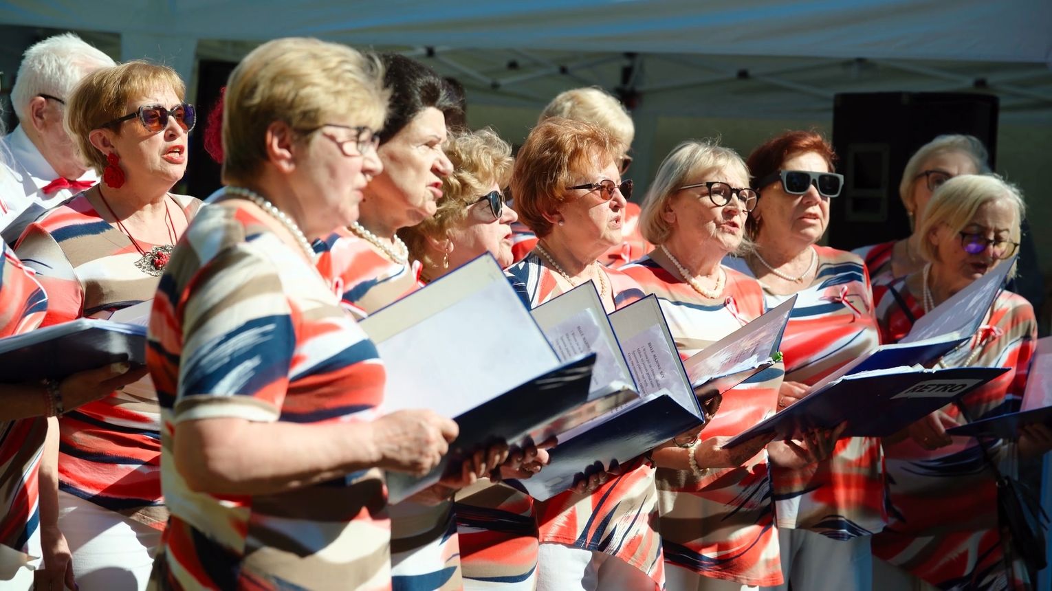 Festyn patriotyczny w Rzeczycy - Gmina Świebodzin