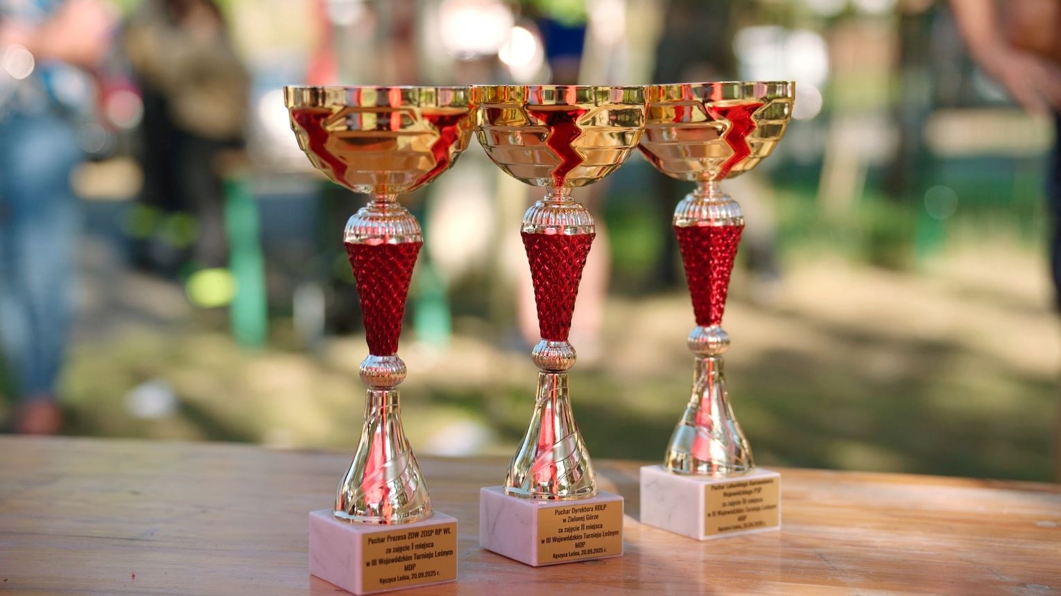 III Wojewódzki Turniej Leśny młodzieżowych drużyn pożarniczych w Kęszycy Leśnej - Gmina Międzyrzecz