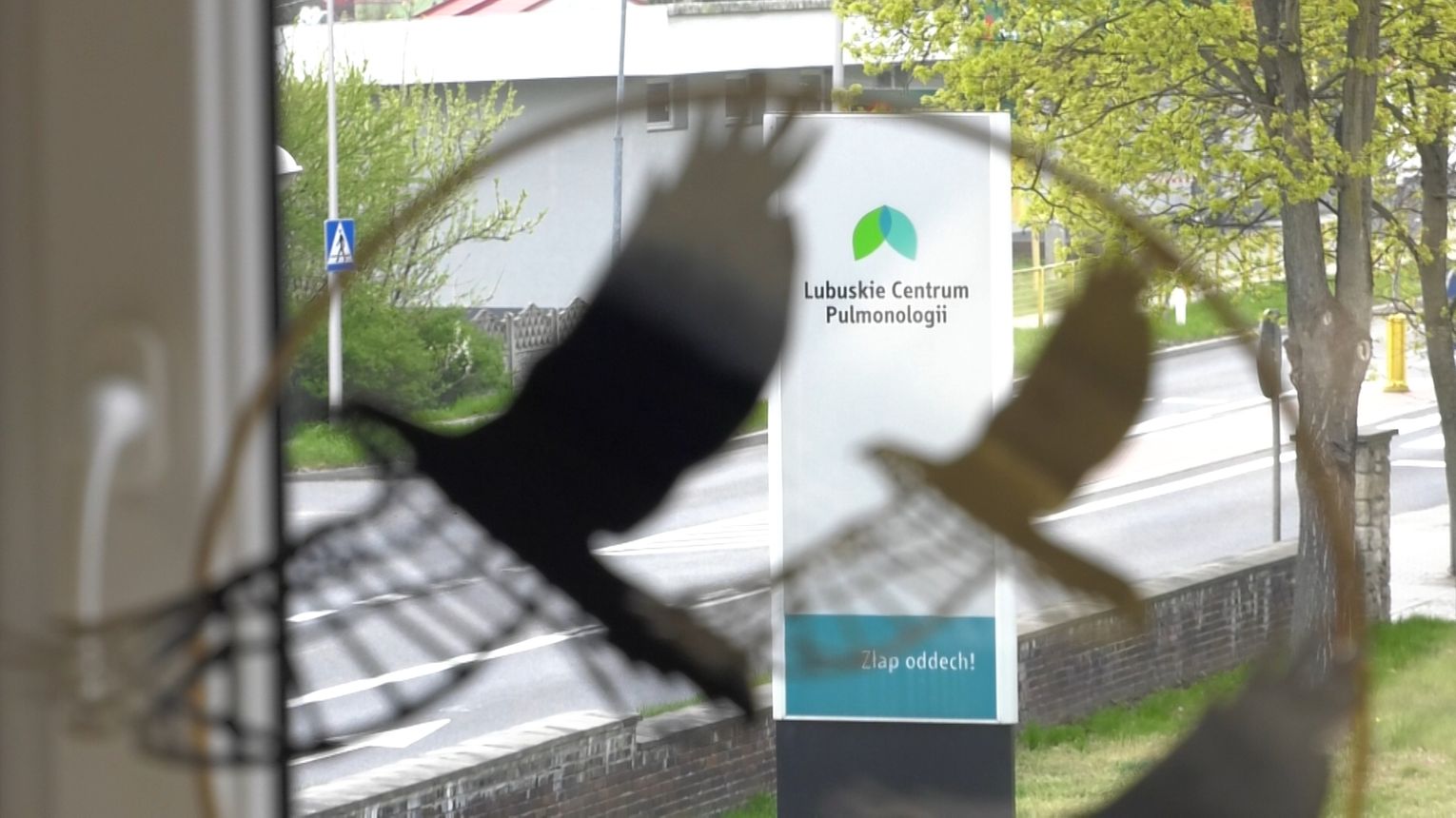 IV Lubuska Konferencja Onkologiczna "Rak płuca"