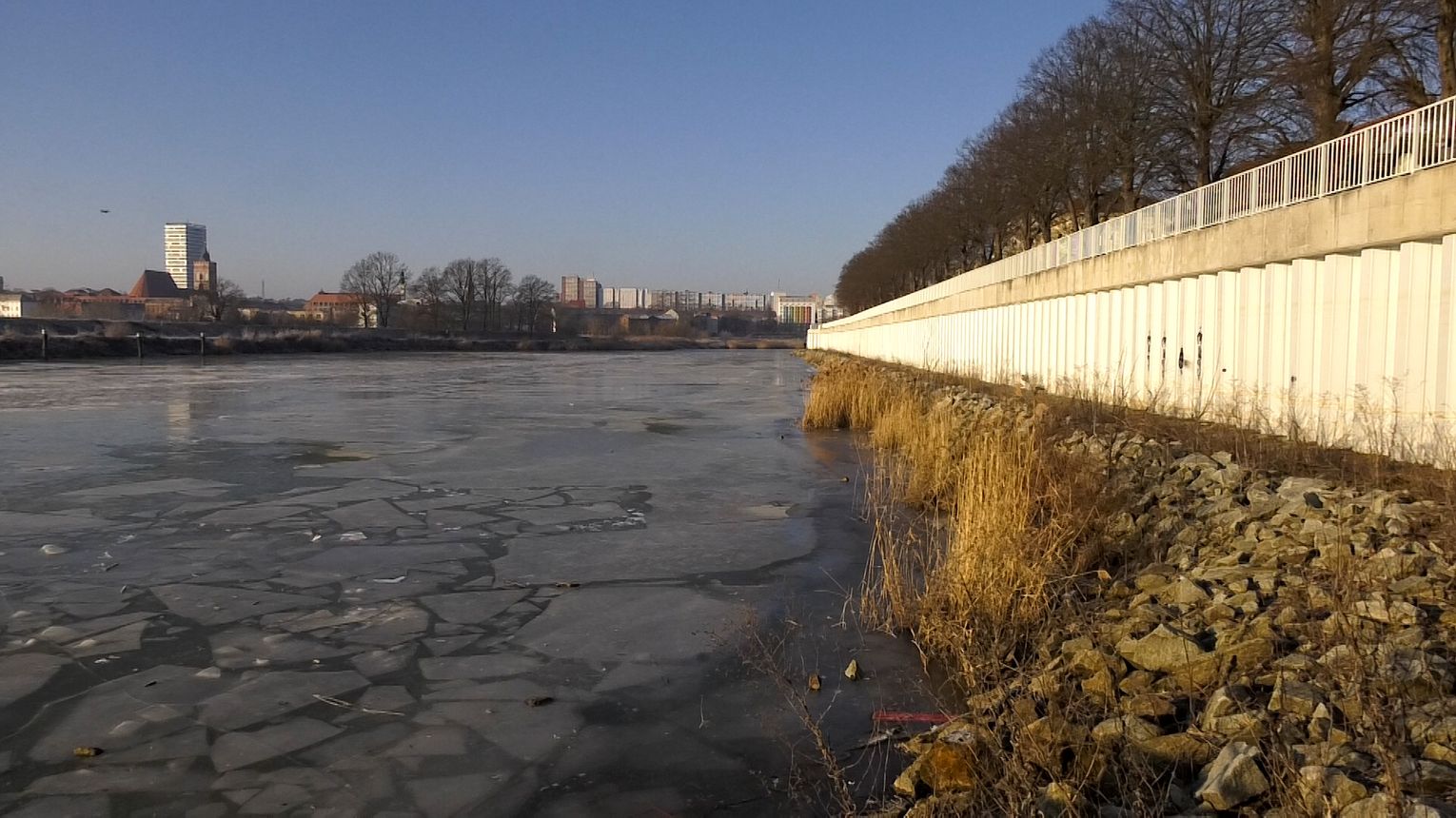 Kormorany kontra ryby