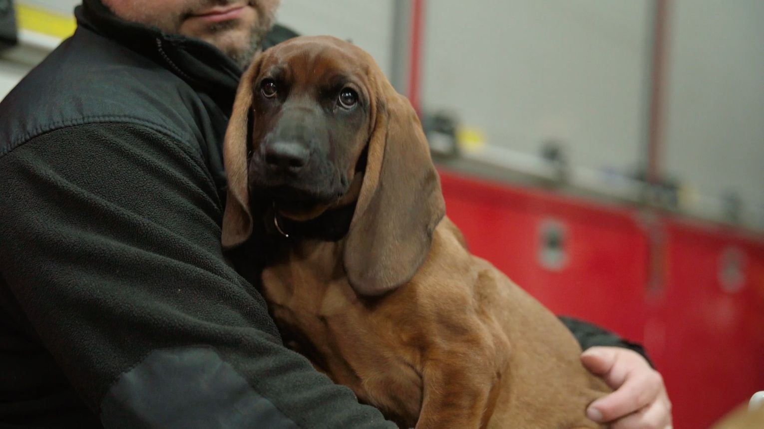 Nowy towarzysz w PSP Świebodzin