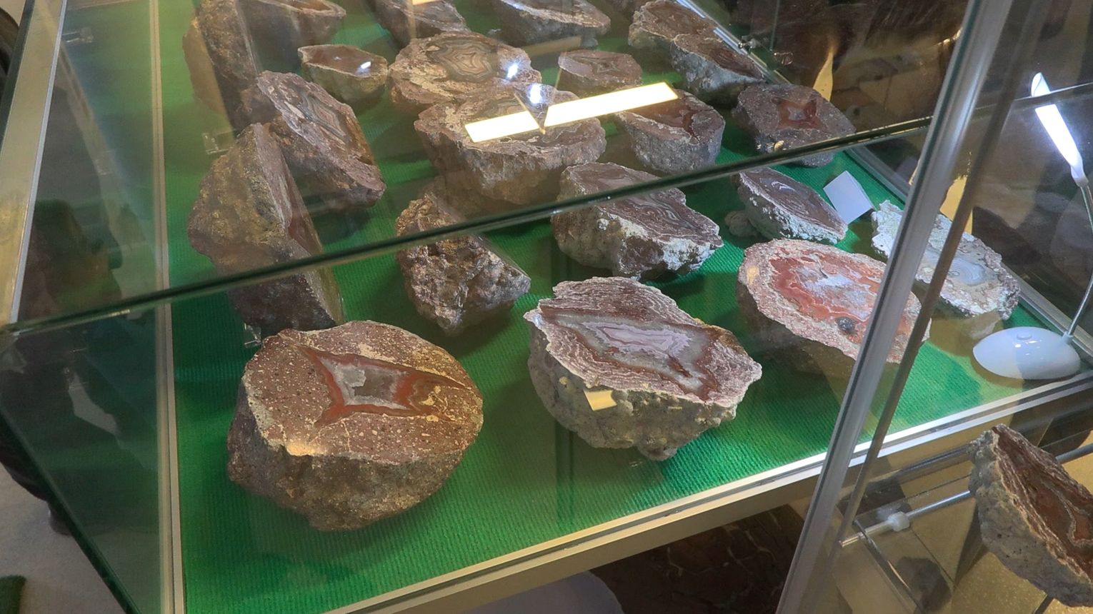 „Skarby Ziemi” w Centrum Przyrodniczym