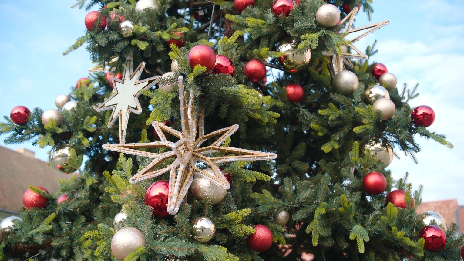 Sonda świąteczna w Międzyrzeczu