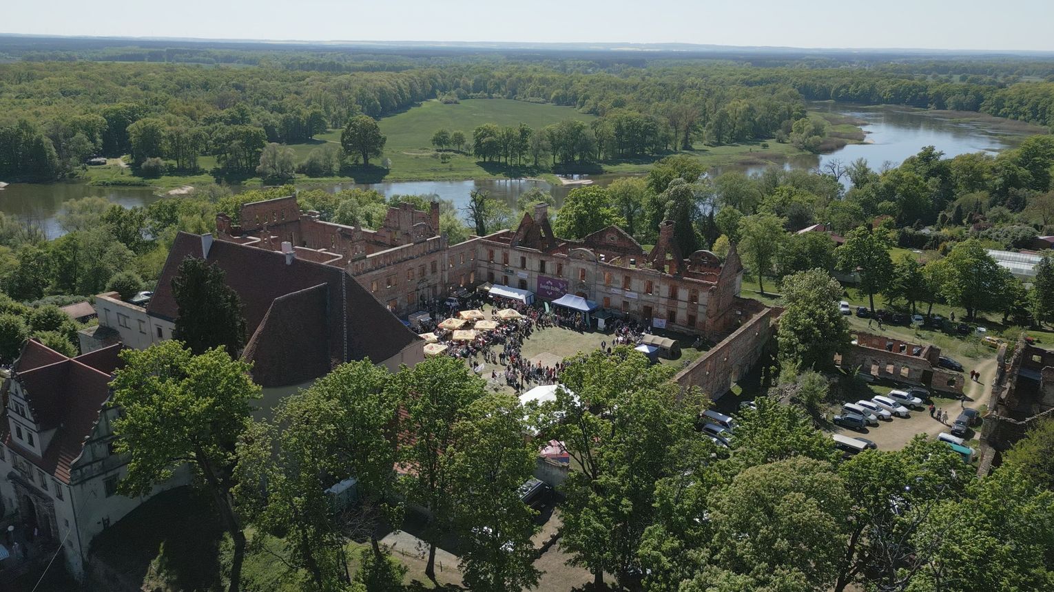 Święto Bzów w Siedlisku – powrót po pandemii